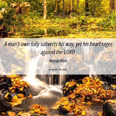 Picture 06 - Proverbs 19:3 BSB - A man’s own folly subverts his way, yet his - Bible Verse Picture