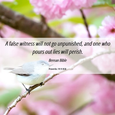 Picture 06 - Proverbs 19:9 BSB - A false witness will not go unpunished, and one - Bible Verse Picture