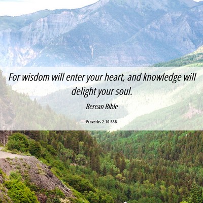 Picture 06 - Proverbs 2:10 BSB - For wisdom will enter your heart, and knowledge - Bible Verse Picture
