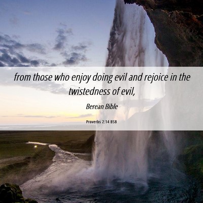 Picture 06 - Proverbs 2:14 BSB - from those who enjoy doing evil and rejoice in - Bible Verse Picture