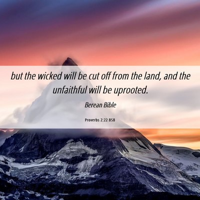 Picture 06 - Proverbs 2:22 BSB - but the wicked will be cut off from the land, and - Bible Verse Picture