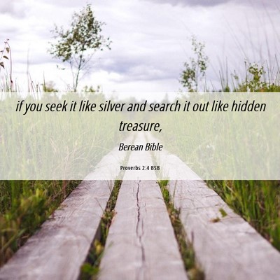 Picture 06 - Proverbs 2:4 BSB - if you seek it like silver and search it out like - Bible Verse Picture