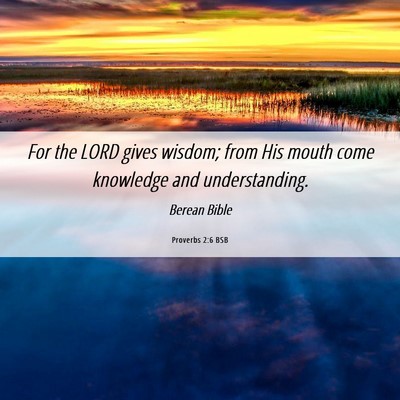 Picture 06 - Proverbs 2:6 BSB - For the LORD gives wisdom; from His mouth come - Bible Verse Picture