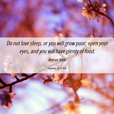 Picture 06 - Proverbs 20:13 BSB - Do not love sleep, or you will grow poor; open - Bible Verse Picture