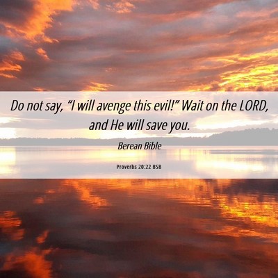 Picture 06 - Proverbs 20:22 BSB - Do not say, “I will avenge this evil!” Wait - Bible Verse Picture