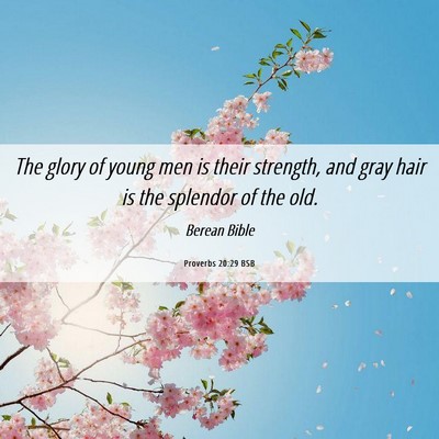 Picture 06 - Proverbs 20:29 BSB - The glory of young men is their strength, and - Bible Verse Picture