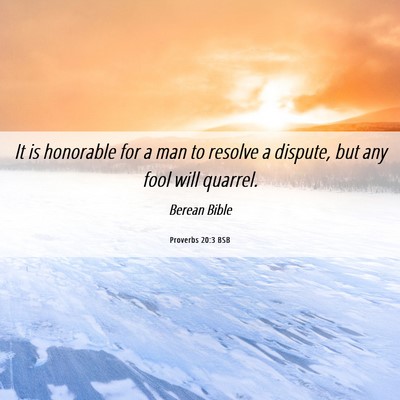 Picture 06 - Proverbs 20:3 BSB - It is honorable for a man to resolve a dispute, - Bible Verse Picture