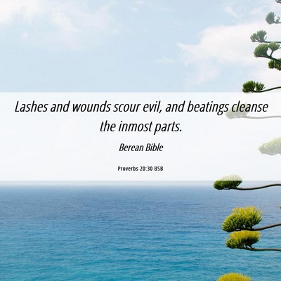 Picture 06 - Proverbs 20:30 BSB - Lashes and wounds scour evil, and beatings - Bible Verse Picture