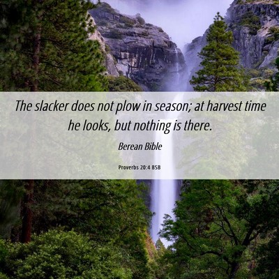 Picture 06 - Proverbs 20:4 BSB - The slacker does not plow in season; at harvest - Bible Verse Picture