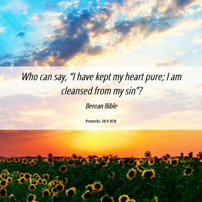 Picture 06 - Proverbs 20:9 BSB - Who can say, “I have kept my heart pure; I am - Bible Verse Picture
