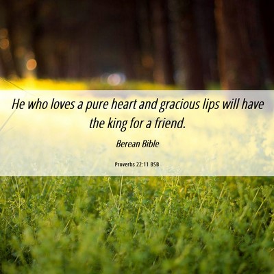 Picture 06 - Proverbs 22:11 BSB - He who loves a pure heart and gracious lips will - Bible Verse Picture