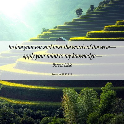Picture 06 - Proverbs 22:17 BSB - Incline your ear and hear the words of the - Bible Verse Picture