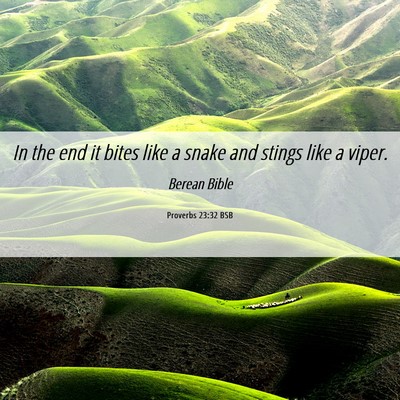 Picture 06 - Proverbs 23:32 BSB - In the end it bites like a snake and stings like - Bible Verse Picture