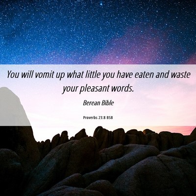 Picture 06 - Proverbs 23:8 BSB - You will vomit up what little you have eaten and - Bible Verse Picture