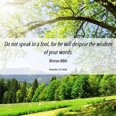 Picture 06 - Proverbs 23:9 BSB - Do not speak to a fool, for he will despise the - Bible Verse Picture