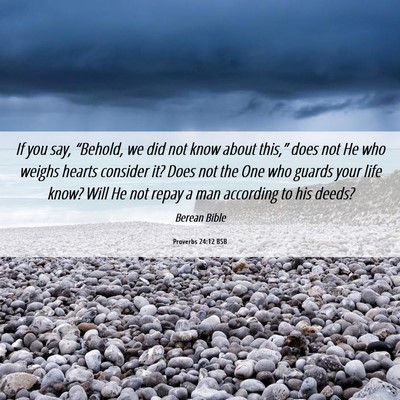 Picture 06 - Proverbs 24:12 BSB - If you say, “Behold, we did not know about - Bible Verse Picture