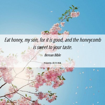 Picture 06 - Proverbs 24:13 BSB - Eat honey, my son, for it is good, and the - Bible Verse Picture