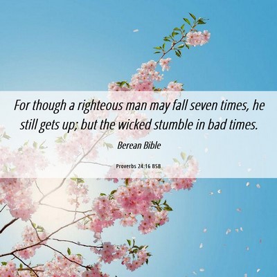 Picture 06 - Proverbs 24:16 BSB - For though a righteous man may fall seven times, - Bible Verse Picture