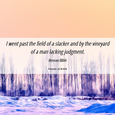 Picture 06 - Proverbs 24:30 BSB - I went past the field of a slacker and by the - Bible Verse Picture