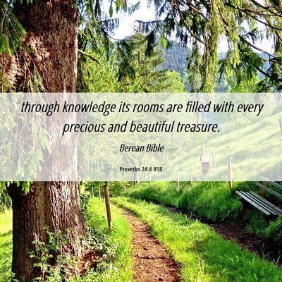 Picture 06 - Proverbs 24:4 BSB - through knowledge its rooms are filled with every - Bible Verse Picture