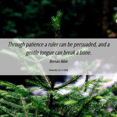 Picture 06 - Proverbs 25:15 BSB - Through patience a ruler can be persuaded, and a - Bible Verse Picture