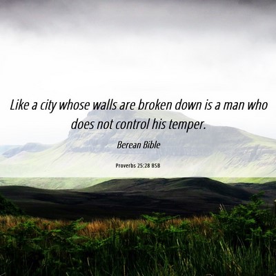 Picture 06 - Proverbs 25:28 BSB - Like a city whose walls are broken down is a man - Bible Verse Picture