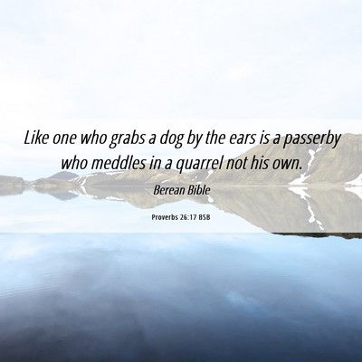 Picture 06 - Proverbs 26:17 BSB - Like one who grabs a dog by the ears is a - Bible Verse Picture