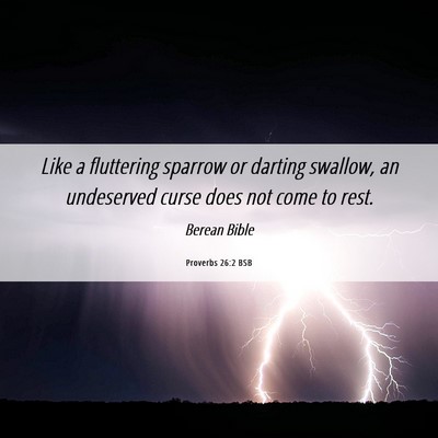 Picture 06 - Proverbs 26:2 BSB - Like a fluttering sparrow or darting swallow, an - Bible Verse Picture