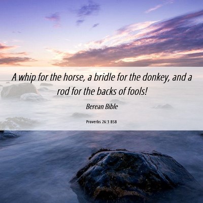 Picture 06 - Proverbs 26:3 BSB - A whip for the horse, a bridle for the donkey, - Bible Verse Picture