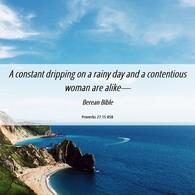 Picture 06 - Proverbs 27:15 BSB - A constant dripping on a rainy day and a - Bible Verse Picture