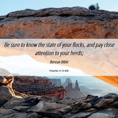 Picture 06 - Proverbs 27:23 BSB - Be sure to know the state of your flocks, and pay - Bible Verse Picture