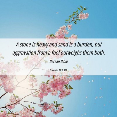 Picture 06 - Proverbs 27:3 BSB - A stone is heavy and sand is a burden, but - Bible Verse Picture