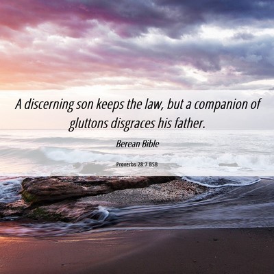 Picture 06 - Proverbs 28:7 BSB - A discerning son keeps the law, but a companion - Bible Verse Picture