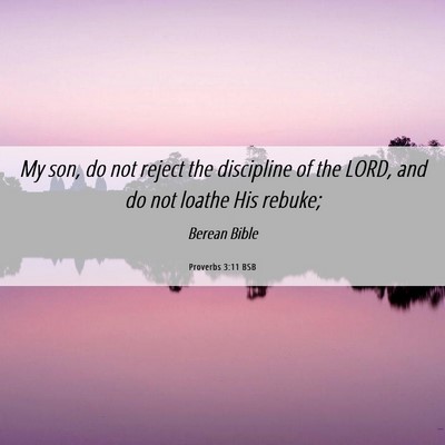 Picture 06 - Proverbs 3:11 BSB - My son, do not reject the discipline of the LORD, - Bible Verse Picture