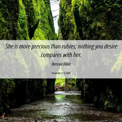 Picture 06 - Proverbs 3:15 BSB - She is more precious than rubies; nothing you - Bible Verse Picture