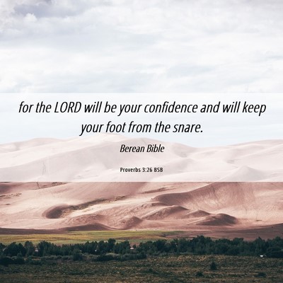 Picture 06 - Proverbs 3:26 BSB - for the LORD will be your confidence and will - Bible Verse Picture