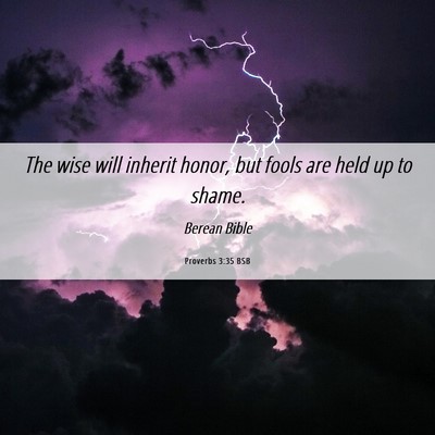 Picture 06 - Proverbs 3:35 BSB - The wise will inherit honor, but fools are held - Bible Verse Picture