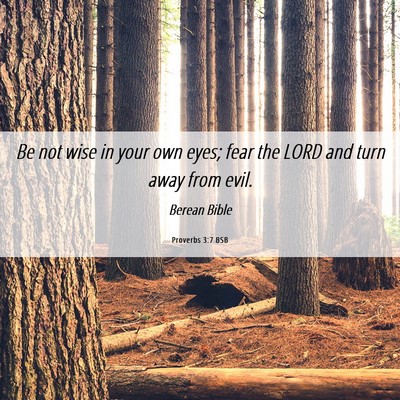 Picture 06 - Proverbs 3:7 BSB - Be not wise in your own eyes; fear the LORD and - Bible Verse Picture
