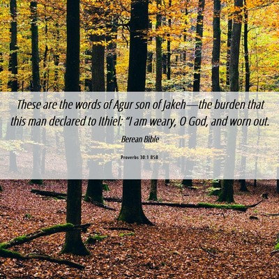 Picture 06 - Proverbs 30:1 BSB - These are the words of Agur son of Jakeh—the - Bible Verse Picture