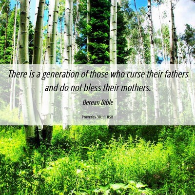 Picture 06 - Proverbs 30:11 BSB - There is a generation of those who curse their - Bible Verse Picture