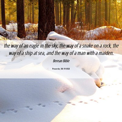 Picture 06 - Proverbs 30:19 BSB - the way of an eagle in the sky, the way of a - Bible Verse Picture