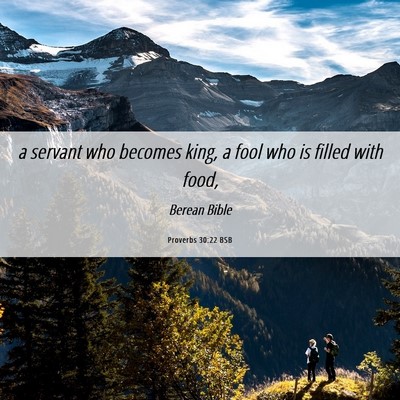 Picture 06 - Proverbs 30:22 BSB - a servant who becomes king, a fool who is filled - Bible Verse Picture