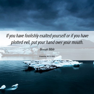 Picture 06 - Proverbs 30:32 BSB - If you have foolishly exalted yourself or if you - Bible Verse Picture