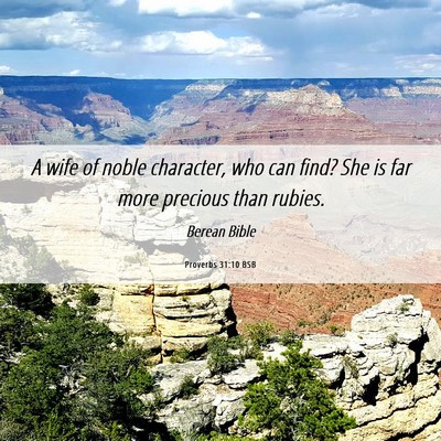 Picture 06 - Proverbs 31:10 BSB - A wife of noble character, who can find? She is - Bible Verse Picture