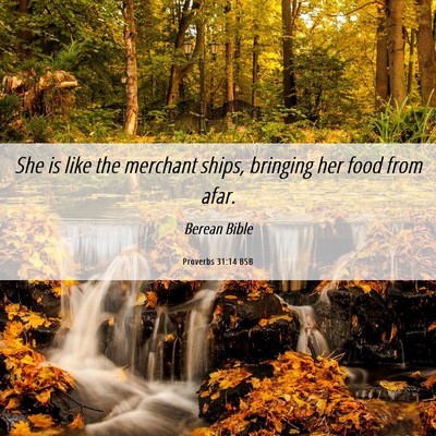 Picture 06 - Proverbs 31:14 BSB - She is like the merchant ships, bringing her food - Bible Verse Picture