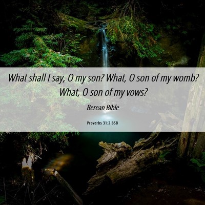 Picture 06 - Proverbs 31:2 BSB - What shall I say, O my son? What, O son of my - Bible Verse Picture