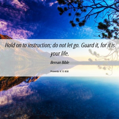 Picture 06 - Proverbs 4:13 BSB - Hold on to instruction; do not let go. Guard it, - Bible Verse Picture