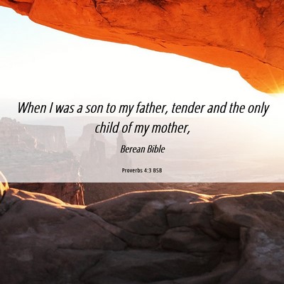 Picture 06 - Proverbs 4:3 BSB - When I was a son to my father, tender and the - Bible Verse Picture