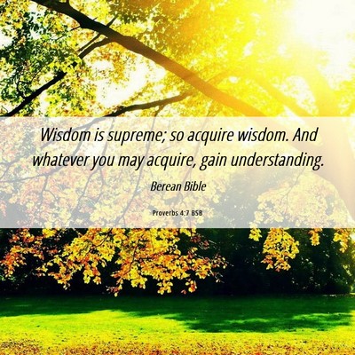 Picture 06 - Proverbs 4:7 BSB - Wisdom is supreme; so acquire wisdom. And - Bible Verse Picture