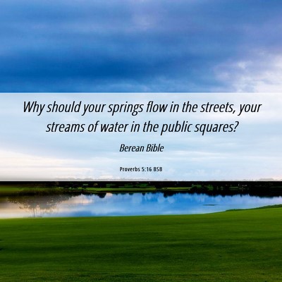 Picture 06 - Proverbs 5:16 BSB - Why should your springs flow in the streets, your - Bible Verse Picture